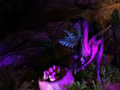 -寻龙山风景旅游区