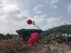 -中国移动南方基地