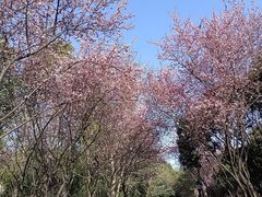 -月湖风景区