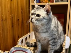 -隅cafe(傅厚岗店)