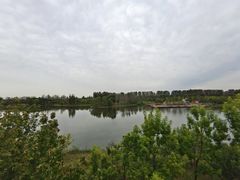 -东郊湿地公园