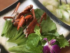-友强·23年特色海鲜大排档(厦门店)