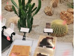 -OUR Bakery(SKP-S店)