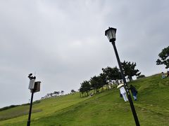 -小麦岛公园