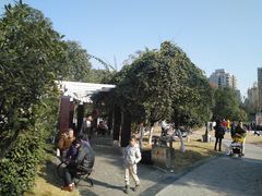 -沙河三洞古桥公园