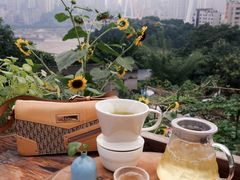 冷萃乌龙-悟饮门市景店