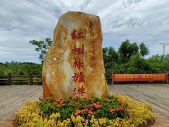 -东寨港红树林旅游区