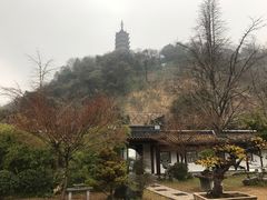 -焦山风景区