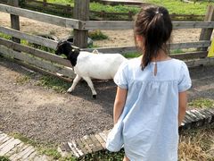-田园东方蜜桃村的田野营地