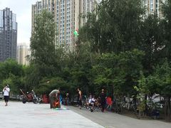 -群力丁香公园