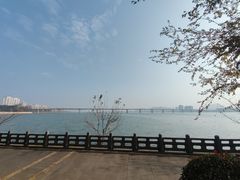 -白鹭洲书院