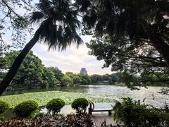 -荔湾湖公园