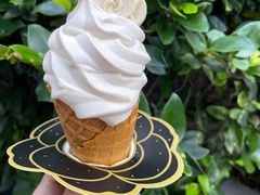 甜品站山茶花风味圆筒-麦当劳(东苑丽宝商业广场店)