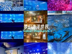 -重庆欢乐海底世界