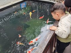 -华庭苑农家乐(旺山店)
