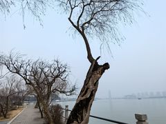 -无锡蠡湖国家湿地公园-蠡园