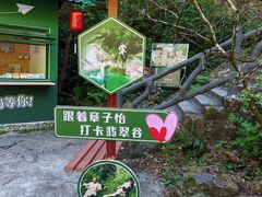 -黄山翡翠谷景区