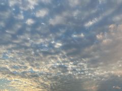 -秦汉胡同国学书院(川沙分馆)