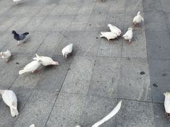 -万达广场(广州番禺店)