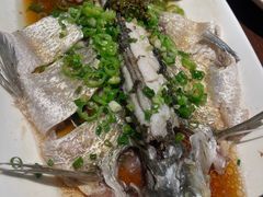 茶油翡翠翘嘴鲌-清水亭湖北菜(大屯DT51店)