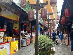 -茯茶镇
