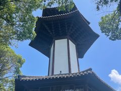 -上海佘山国家森林公园天马山园