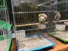 -龟与熊猫宠物公园(南坪店)
