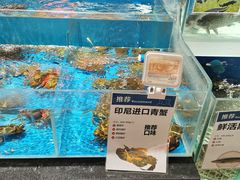 水产区-盒马鲜生(和谐广场店)