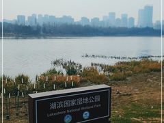 -滨湖塘西河公园
