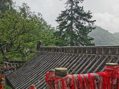 -塔云山