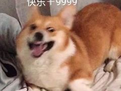 -西贝(东城万达广场店)