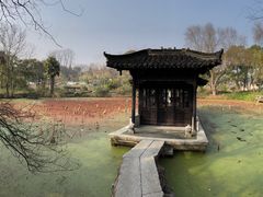 -盆景园(扬州大运河文化旅游度假区)