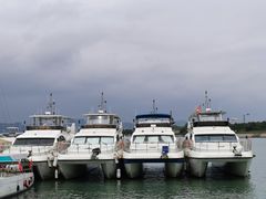 -日照世帆赛基地