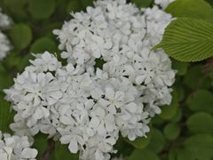 -仁和公园(顺义区)