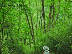 -叠溪松坪沟景区