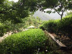 礼耕堂中餐厅-礼耕堂·百年茶人餐厅(梅家坞店)