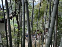 -韬光茶庵
