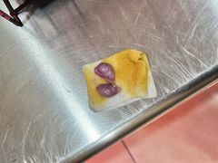 -米苏动物医院·犬猫专科·骨科外科内窥镜