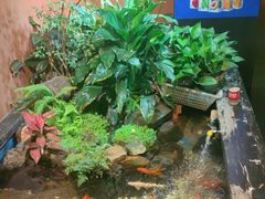 -隐炉和牛烧肉店(群力店)