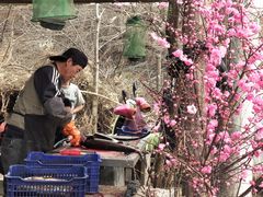 -姥家大锅台水库渔家