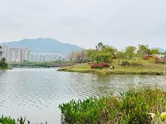 -飞来湖湿地公园