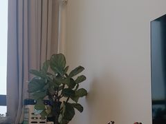 -八号公馆·老上海SPA(深圳北站店)