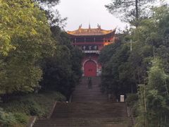 -铁山坪森林公园