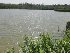 -西青郊野公园
