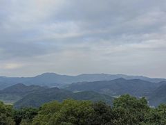 -黄贤森林公园