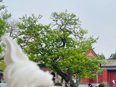 -隆兴寺