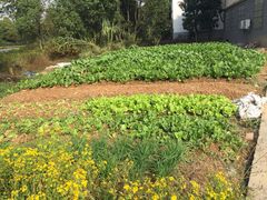 -天目湖刘老四农庄