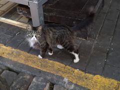 -孙庆海腊牛肉店(大皮院店)