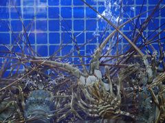 -温岭人家(红花北路店)