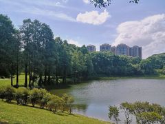 -东莞植物园